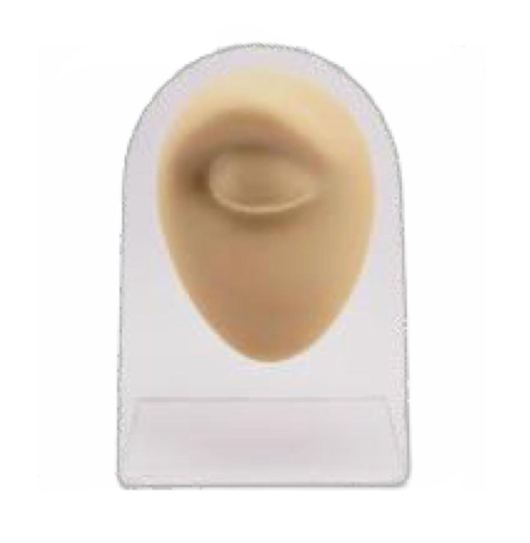 PARTI ANATOMICHE SINTETICA 2 - 3D - REELSKIN